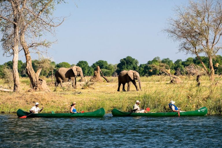 Zambezi river canoeing